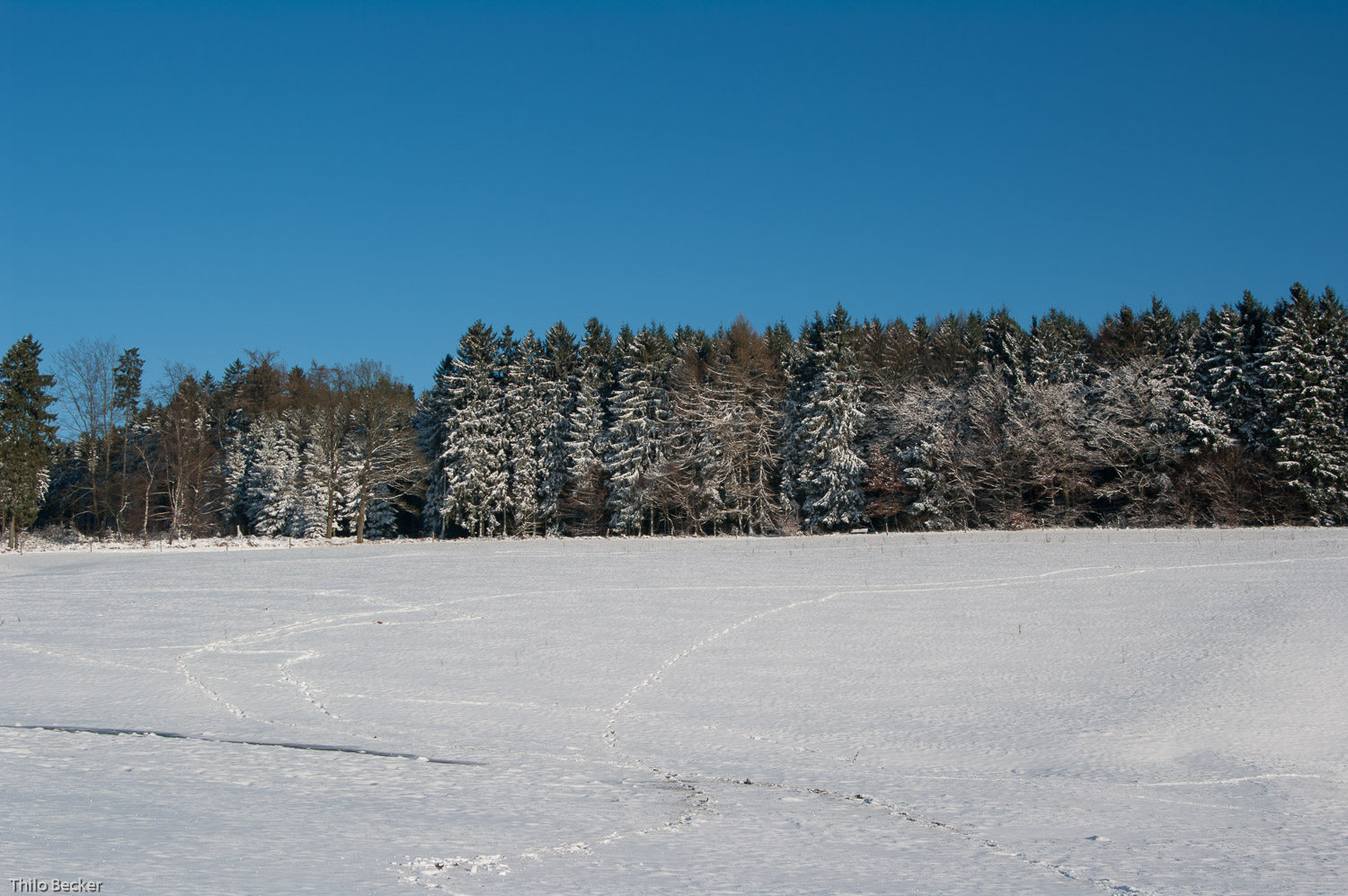 Winterlandschaft rund um Hundsdorf
