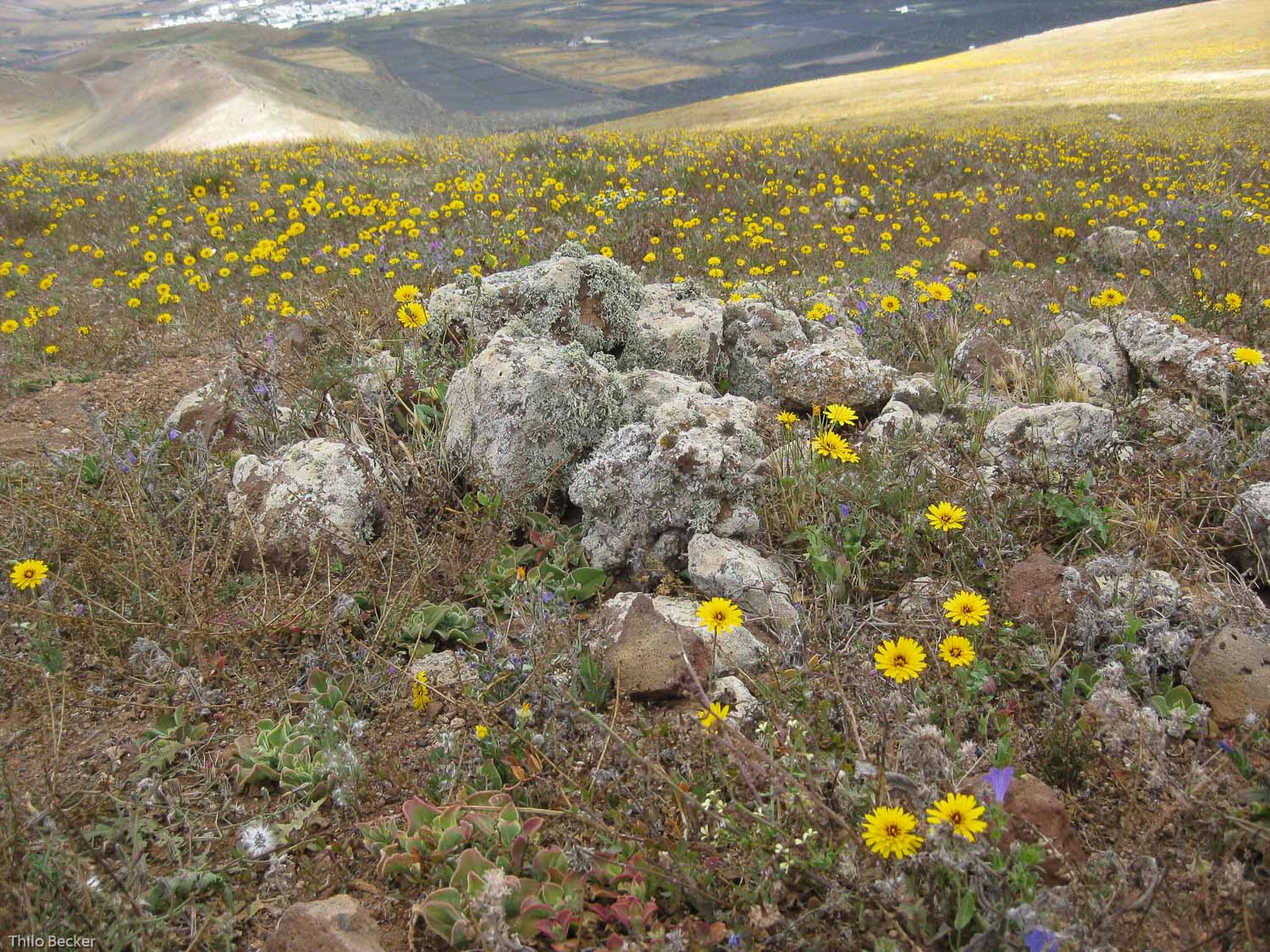 Lanzarote – eine Wanderung