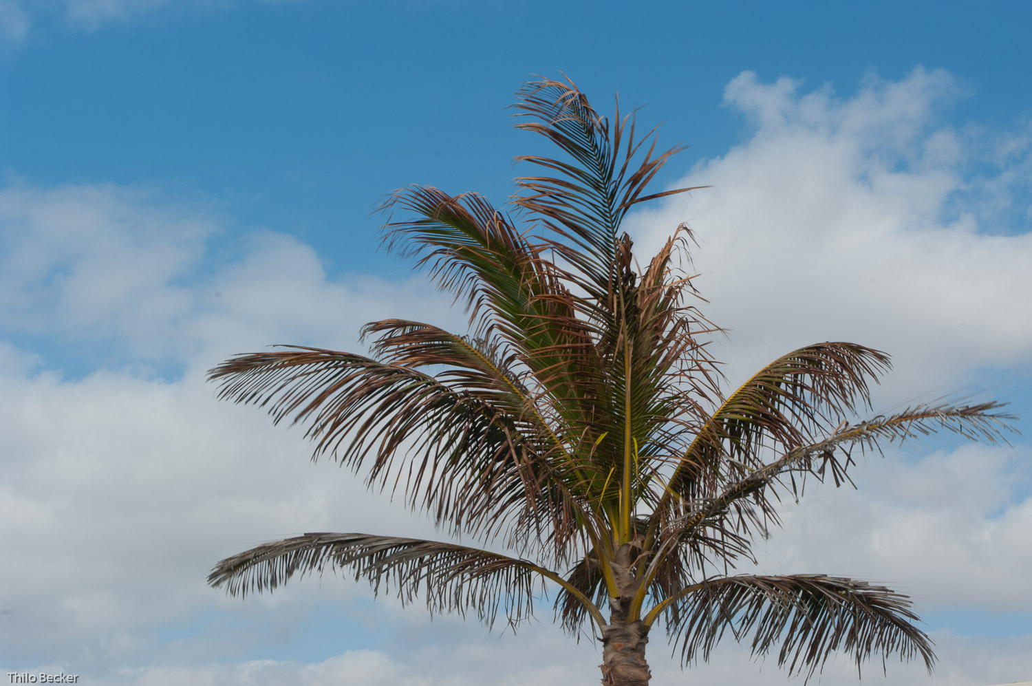 Lanzarote war traumhaft